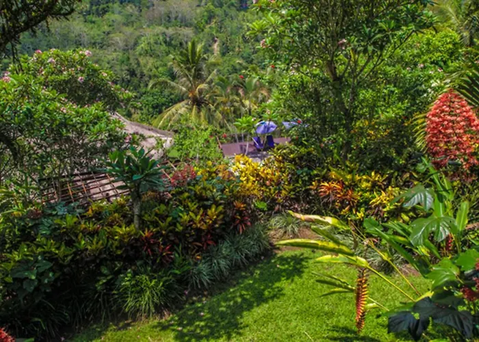 Indah